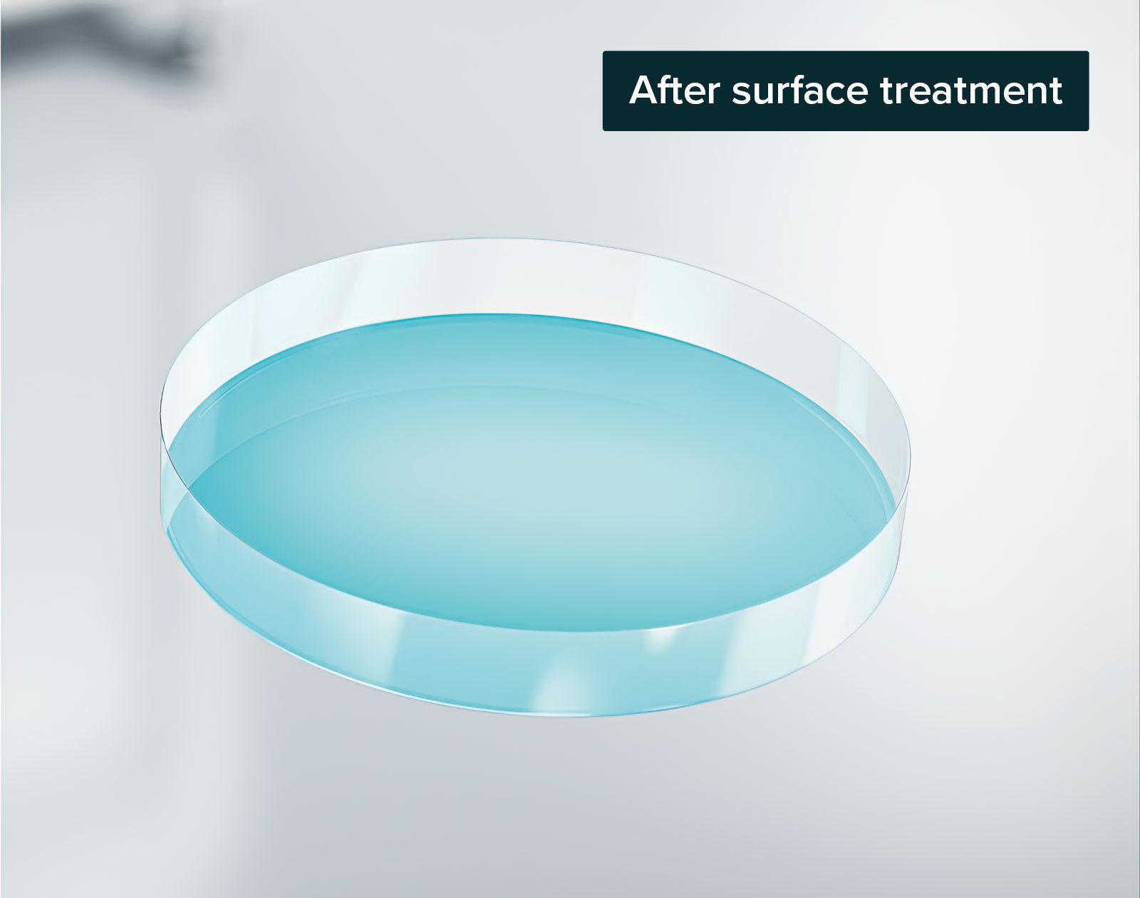 after-petri-dish After surface treatment web